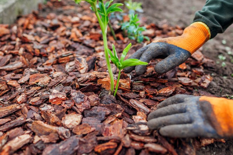 Brown Mulch Installation in Ventura County, CA