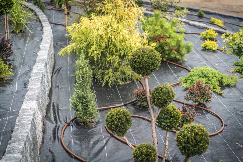 Custom Landscaping in Honolulu, HI