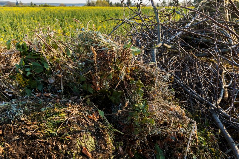 Brush Hauling detail