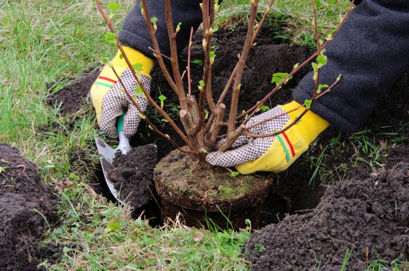 Gardening Service in Ventura County, CA