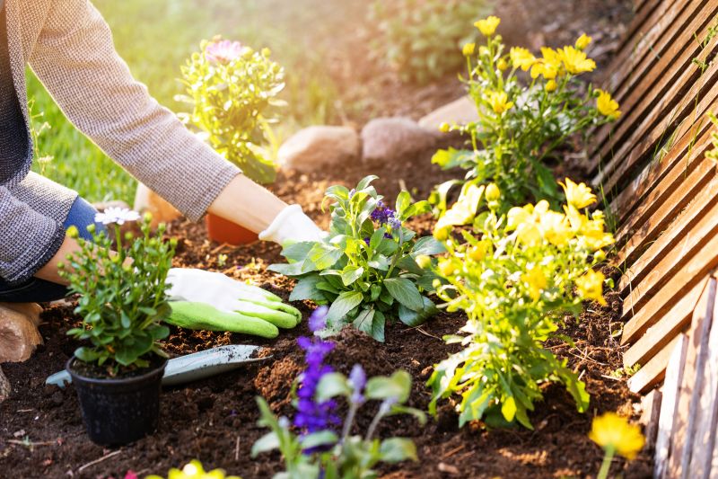 Home Gardening Service in Ventura County, CA