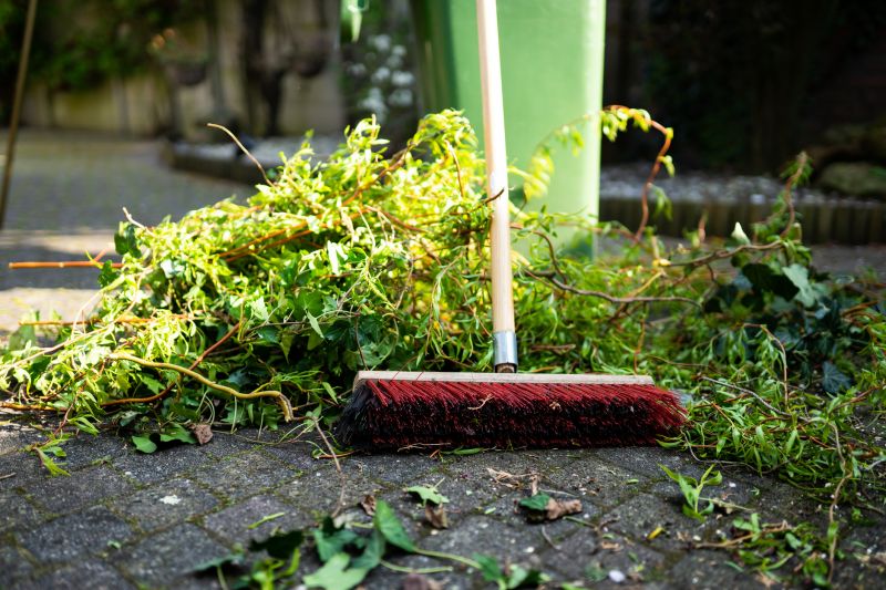 Lawn Cleanup Service in Ventura County, CA