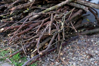 Lawn Debris Cleanup in Ventura County, CA