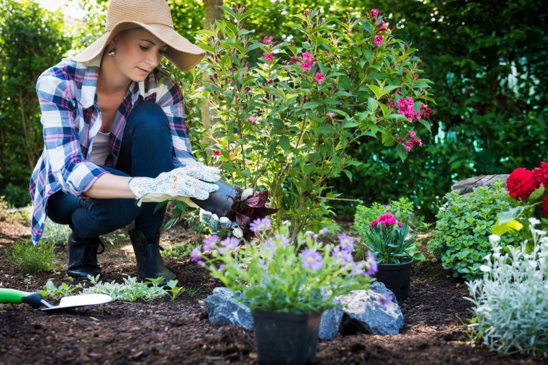 Perennial Landscaping in Honolulu, HI