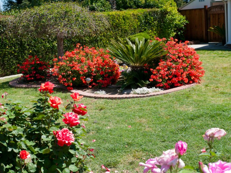 Residential Landscaping in Honolulu, HI