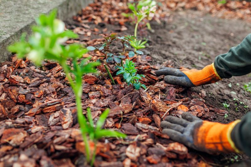 Residential Mulching in Honolulu, HI