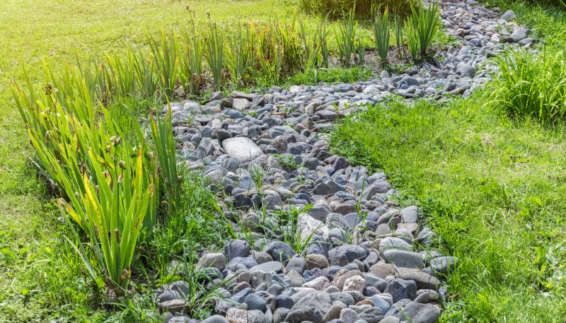 Rock Landscape Design in Honolulu, HI