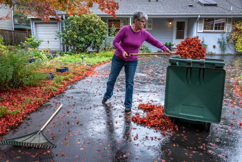 Spring Lawn Cleanup in Honolulu, HI