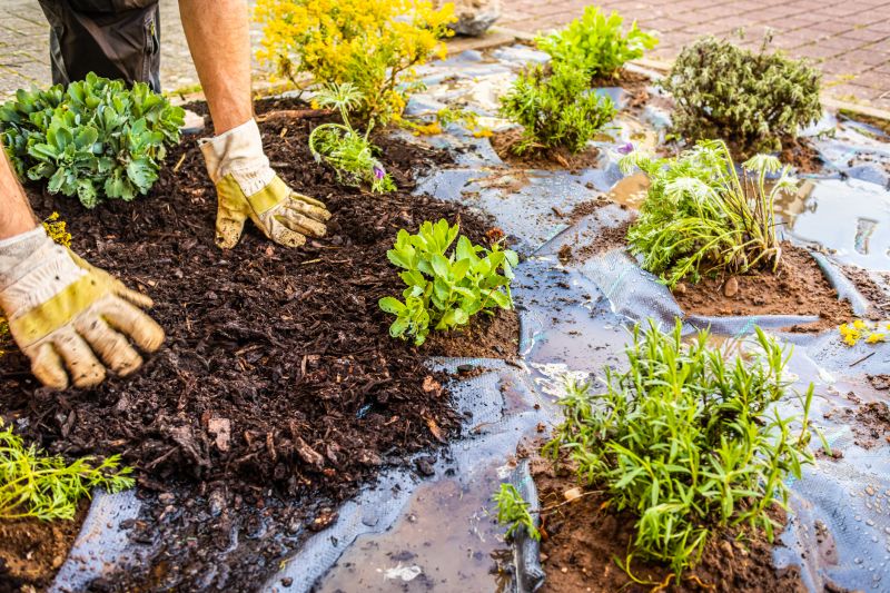 Weeding And Mulching in Honolulu, HI