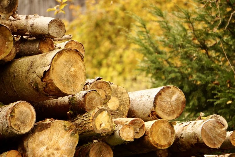 Wood Pile Removal in Ventura County, CA