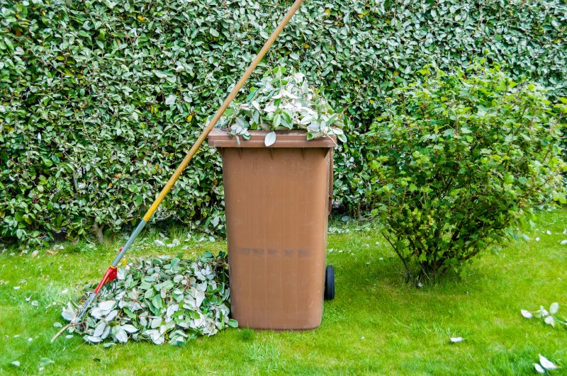 Yard Cleanup Service in Honolulu, HI