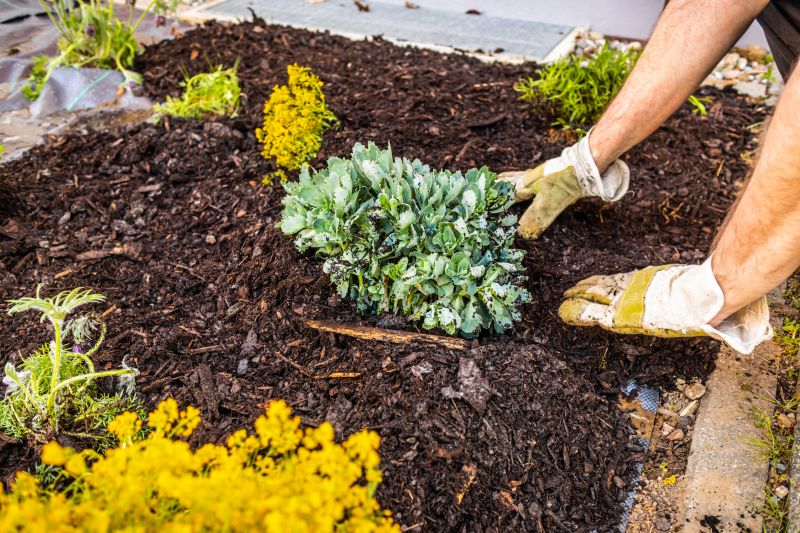 Flower Bed Mulching in Honolulu, HI